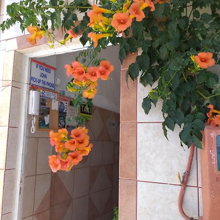 Ladikos Beach Hotel Kardamena  Bagian luar foto