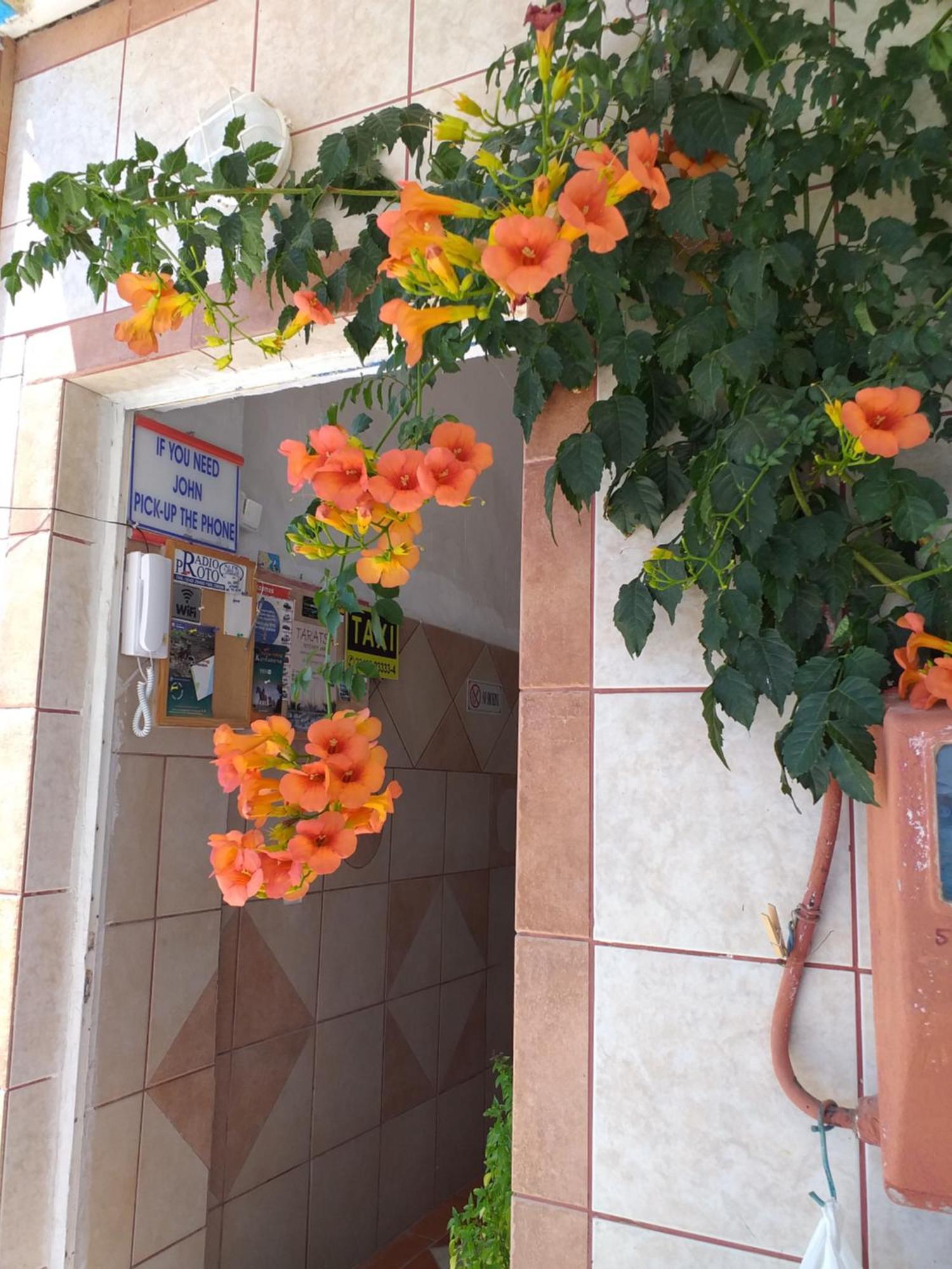 Ladikos Beach Hotel Kardamena  Bagian luar foto